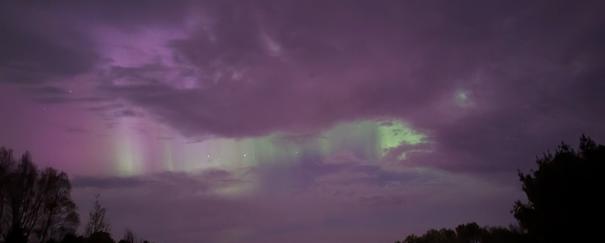 pink, purple, and green Aurora Borealis with starts through clouds, trees in the foreground